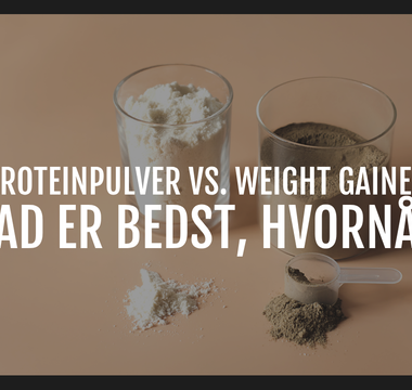 Proteinpulver vs. weight gainer: Hvilken løsning er optimal?